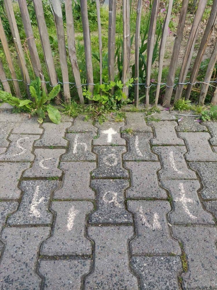 #Krautschau